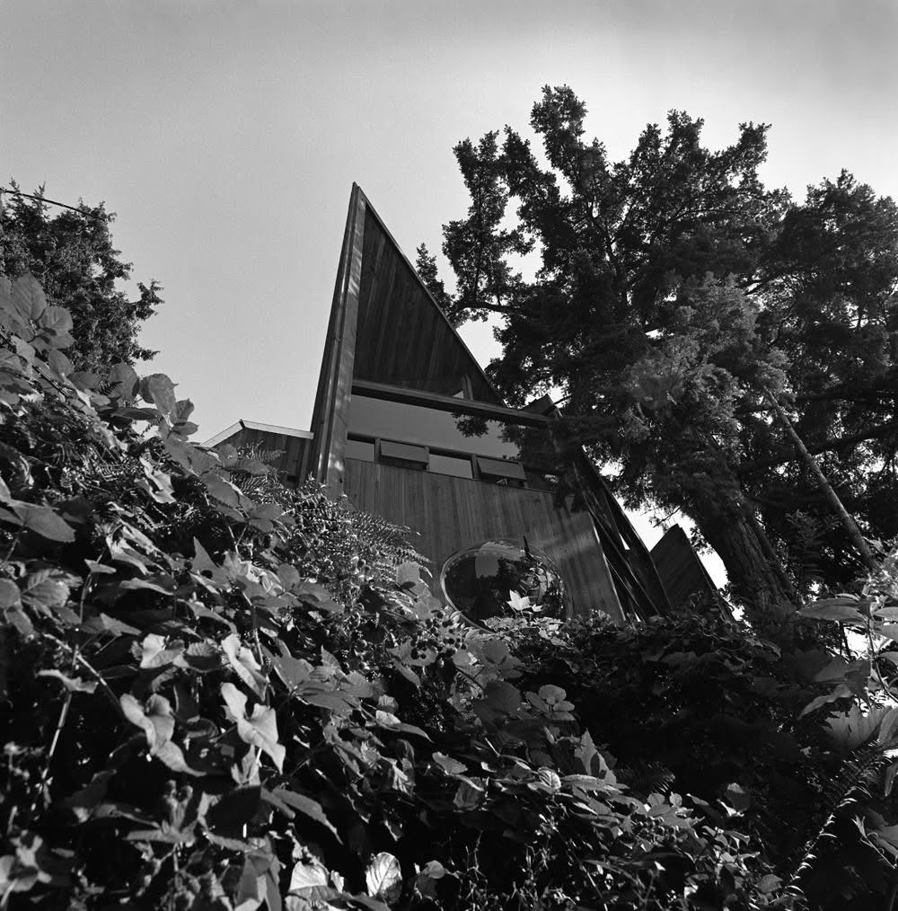 The spire rising through the trees